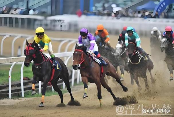 中国年轻骑手与赛马的故事